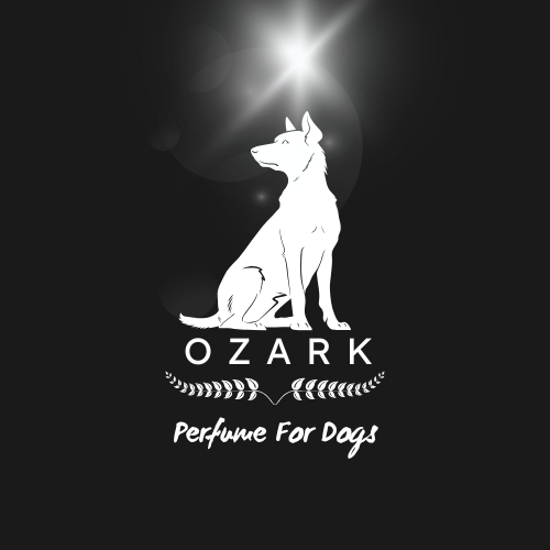 Premium Perfume